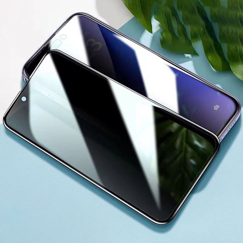 Privacy Panserglas / Beskyttelsesglas til Samsung Galaxy S21 Ultra